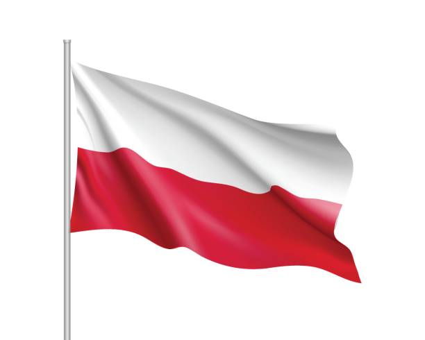 развевающийся флаг польского государства - polish flag stock illustrations