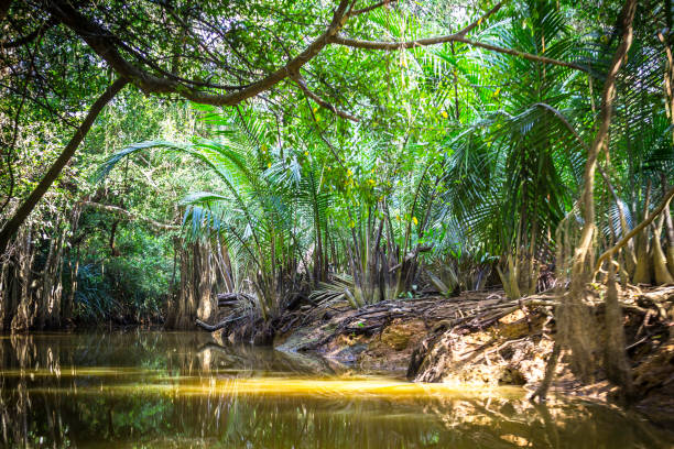istock Canal at Phang Nga, Thailand 641319840
