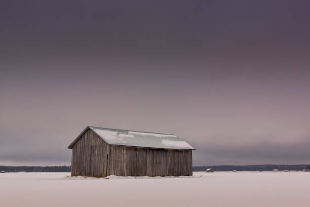 nuvole pesanti sui campi innevati - winter finland agriculture barn foto e immagini stock