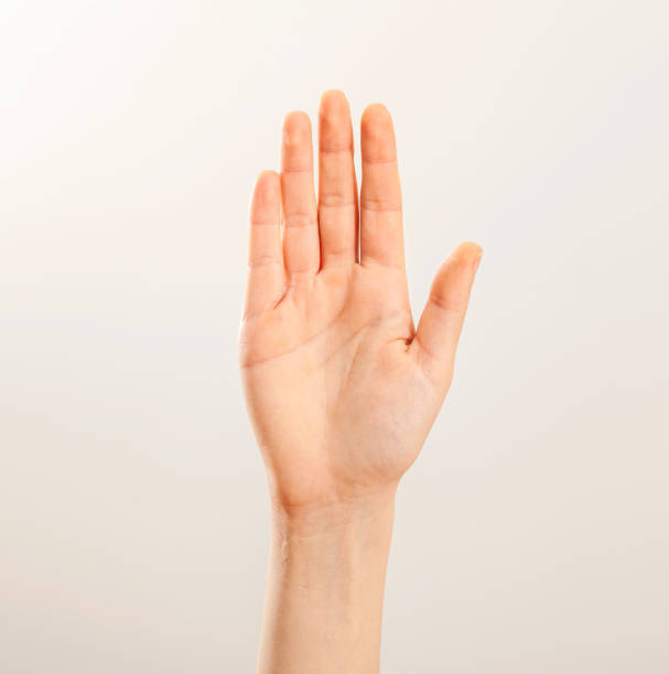 istock Woman hand raised on gray background 641330298