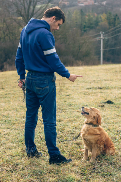 istock guy and his dog, golden retriever, nature 641334048