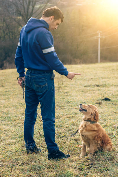 istock guy and his dog, golden retriever, nature 641334202