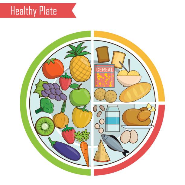 ilustrações de stock, clip art, desenhos animados e ícones de healthy plate nutrition balance illustration - eat well plate