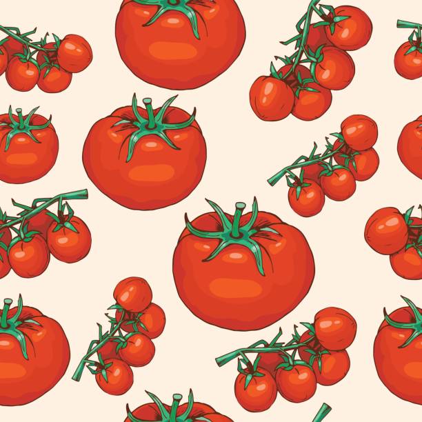 illustrazioni stock, clip art, cartoni animati e icone di tendenza di modello senza cuciture di pomodoro - cherry tomato