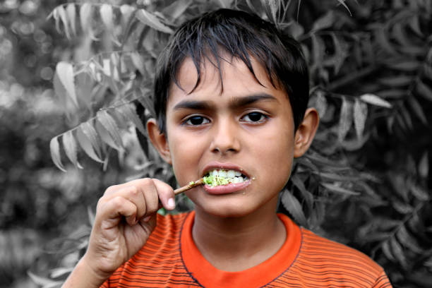 Keeping his teeth clean and healthy using datun Young boy cleaning teeth using a twig of Azadirachta indica called Neem. This is Traditional & healthier way to clean teed in Rural India. satun province stock pictures, royalty-free photos & images