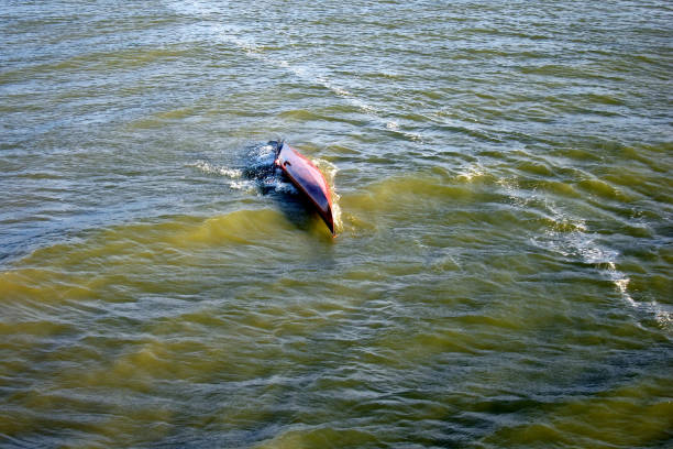 Man doing eskimo roll with wooden self-made kayak on the lake. Flipped kayak