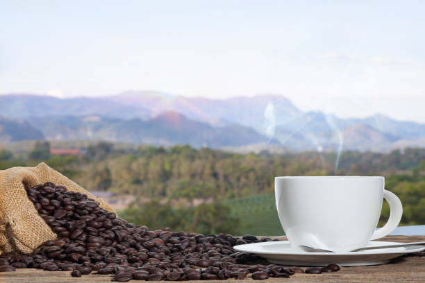 istock Hot Coffee cup and coffee beans with sunrise 641341350