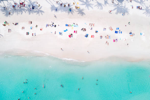 tropical playa de palma árbol sombras, tailandia - exotic location fotografías e imágenes de stock