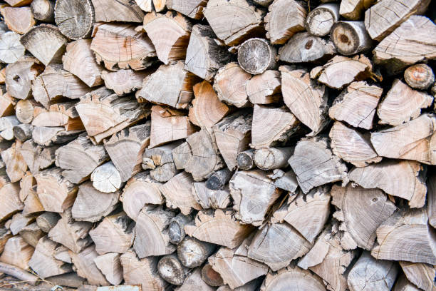 istock View at firewood wood 641344002