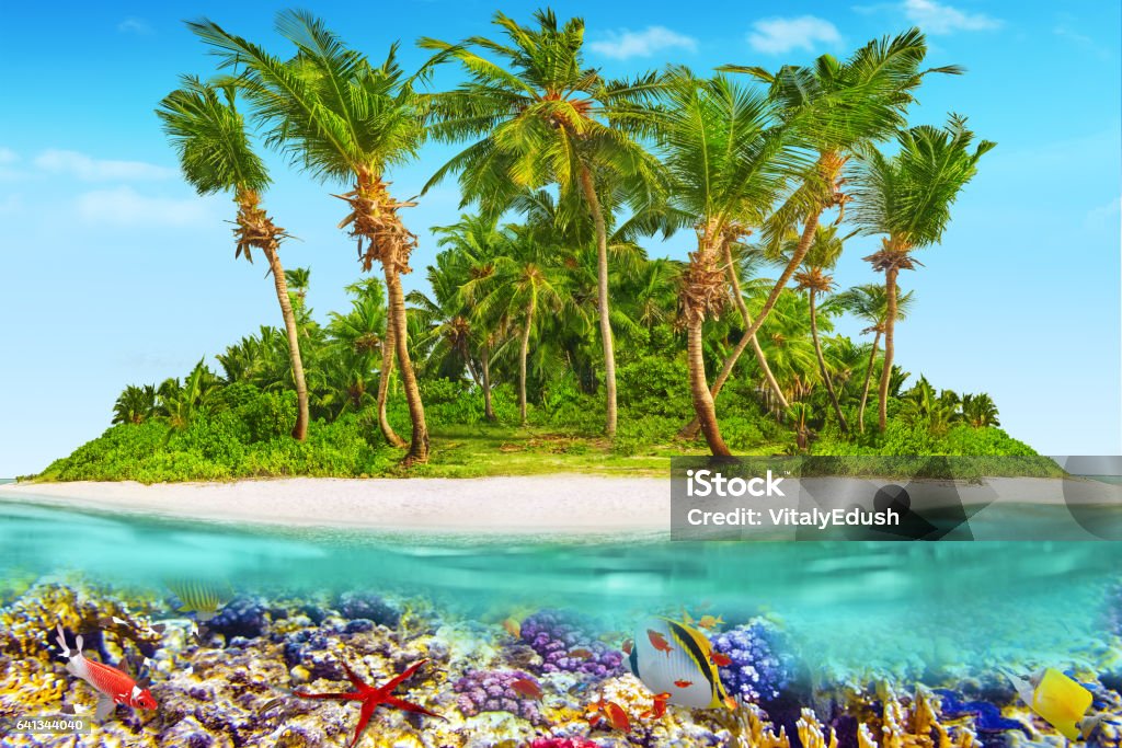 Tropical island in Ocean and beautiful underwater world. Tropical island within atoll in tropical Ocean and wonderful and beautiful underwater world with corals and tropical fish. Anemonefish Stock Photo