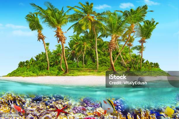 Tropical Island In Ocean And Beautiful Underwater World Stock Photo - Download Image Now