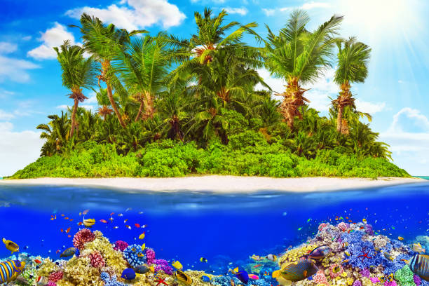 istock Tropical island in Ocean and beautiful underwater world. 641344104