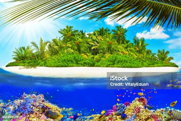 Tropical Island In Ocean And Beautiful Underwater World Stock Photo - Download Image Now