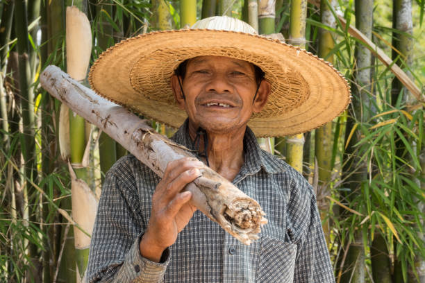 istock Asian Senior Adult Man 641347138