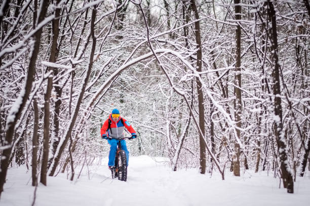 istock Bicycle rider in the forest 641348874