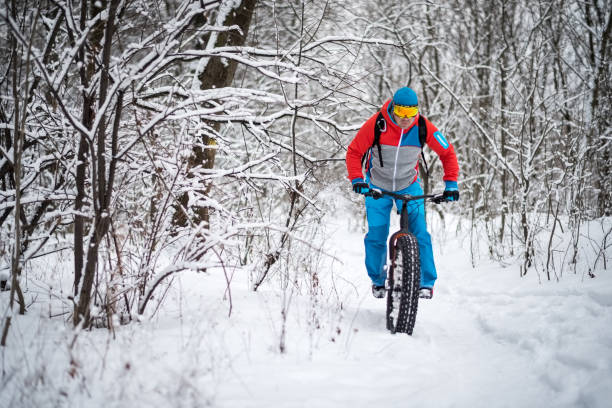 istock Bicycle rider in the forest 641348936
