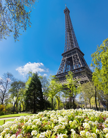 Beautiful garden in spring at the feet of Eiffel Tower in Paris. Panorama image.