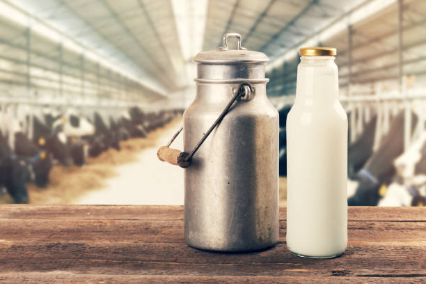 botella de leche fresca y puede en la mesa en establo - milk bottle fotos fotografías e imágenes de stock