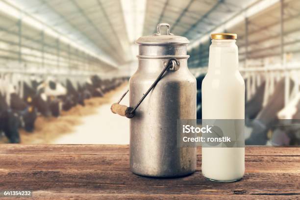 Fresh Milk Bottle And Can On The Table In Cowshed Stock Photo - Download Image Now - Milk, Domestic Cattle, Cow