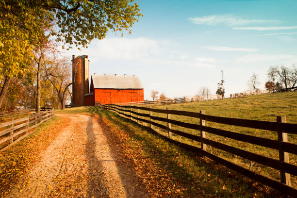 istock Dirt road leading to red barn 641354414