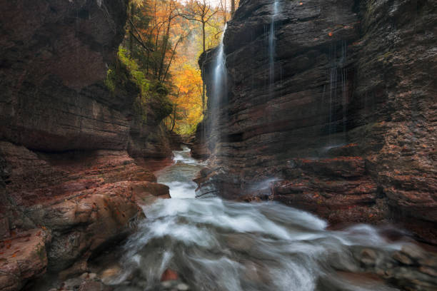 istock Branch of the Taugl river 641363574