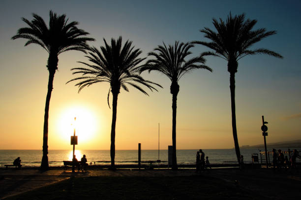 istock Beach on Tenerife, Canary, Spain, Europe 641365074