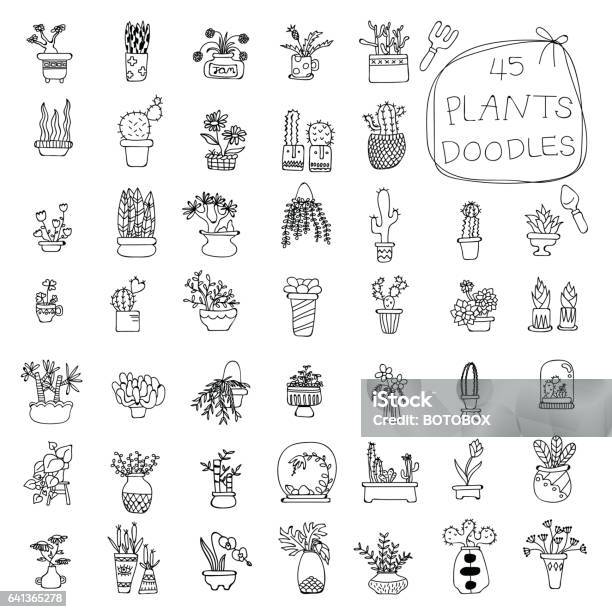 Potted Plants Doodles Drawing Stock Illustration - Download Image Now ...