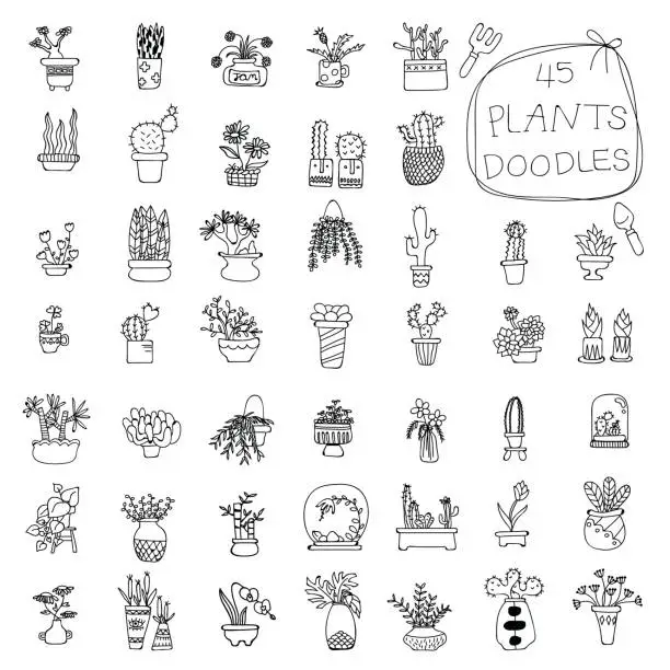 Vector illustration of Potted Plants doodles drawing