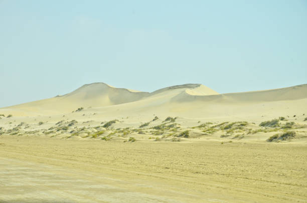istock Desert landscape with small desert shrubs 641365282