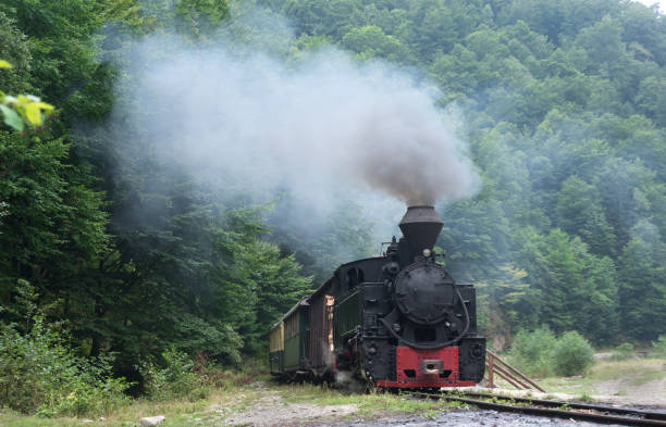istock Wood-burning locomotive in forest 641366156