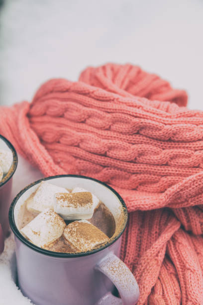 istock Hot chocolate with marshmallow in violet cups 641366262