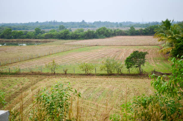 istock Beautiful landscape of rural India 641366290