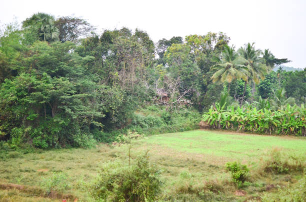 istock Beautiful landscape of rural India 641368310