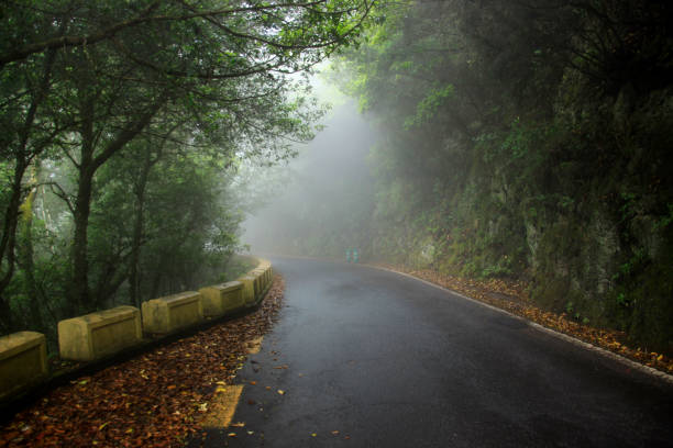 istock Fog in the Anaga Mountains in Tenerife 641372682
