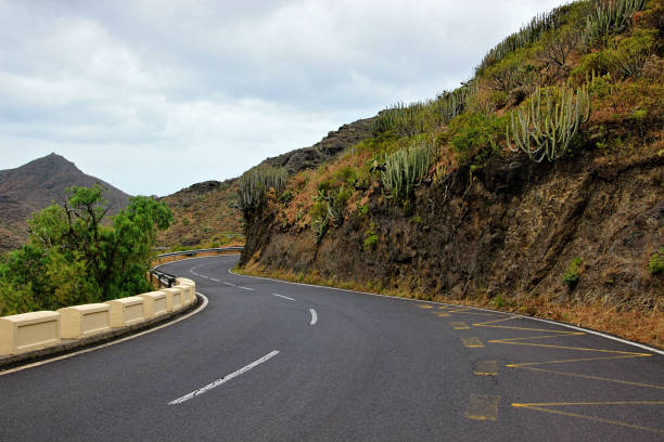 istock Fog in the Anaga Mountains in Tenerife 641372832