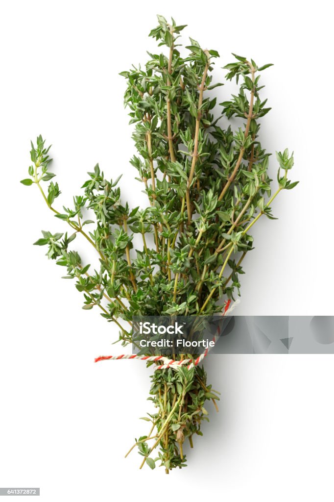 Fresh Herbs: Thyme Isolated on White Background Herb Stock Photo