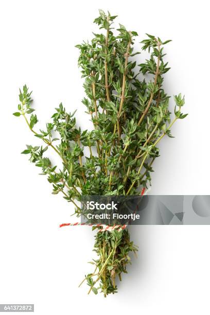 Fresh Herbs Thyme Isolated On White Background Stock Photo - Download Image Now - Herb, Thyme, Bunch