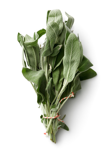 Fresh Herbs Sage Isolated On White Background Stock Photo - Download Image  Now - Directly Above, Herb, Sage - iStock