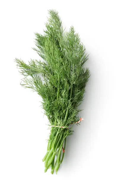 Fresh Herbs: Dill Isolated on White Background