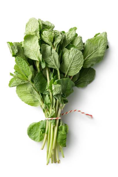 Fresh Herbs: Mint Isolated on White Background Fresh Herbs: Mint Isolated on White Background mint tea stock pictures, royalty-free photos & images