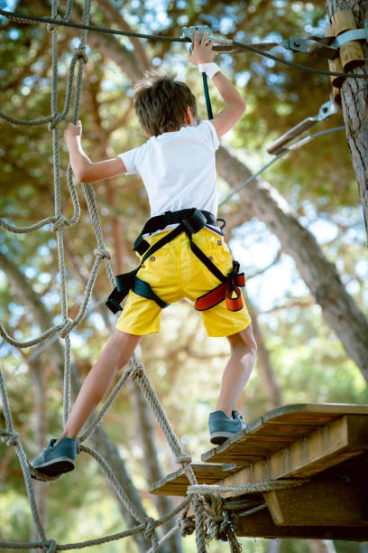 istock Little boy in adventure park 641375798