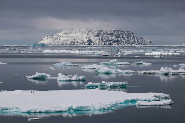 istock Adelie penguins and Paulet Island 641376614