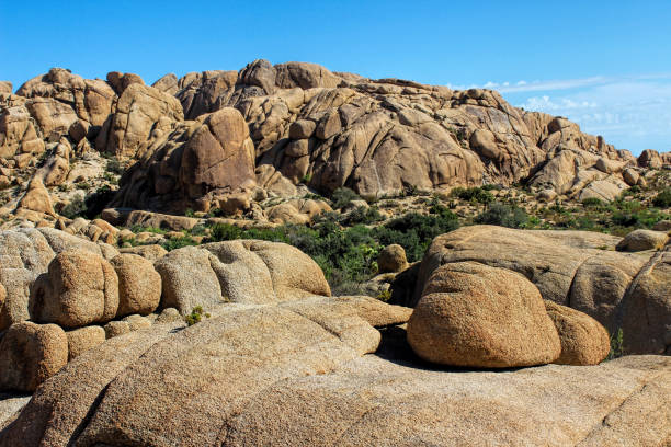 istock Joshua Tree National Park, Mojave Desert, California 641376630