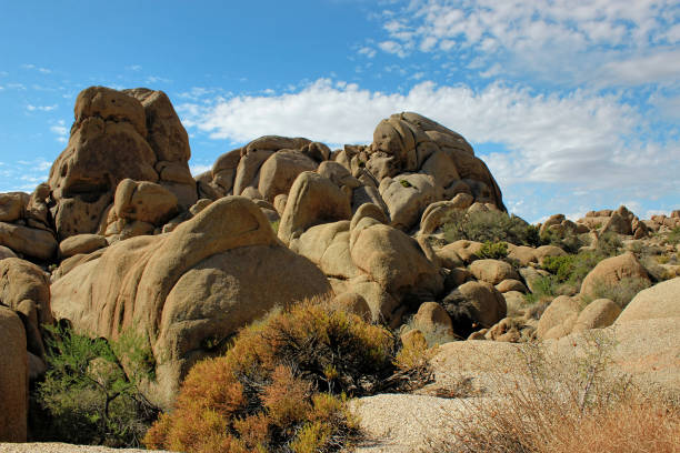 istock Joshua Tree National Park, Mojave Desert, California 641377196