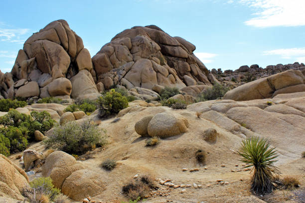 istock Joshua Tree National Park, Mojave Desert, California 641377662