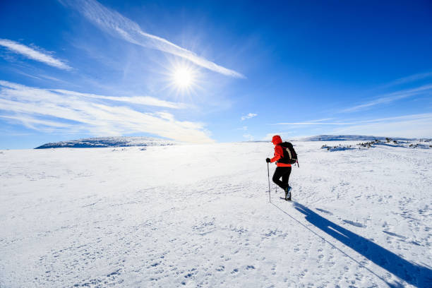 istock Young female trekking during winter in the mountains 641380040