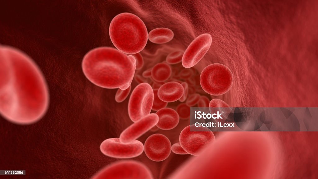 Blood cells in the vein Blood cells in the vein. 3D illustration Blood Cell stock illustration