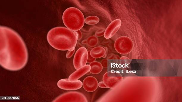 Blood Cells In The Vein Stock Illustration - Download Image Now - Blood Cell, Blood, Artery