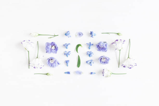 istock Floral composition made of lilac and white flowers 641383364