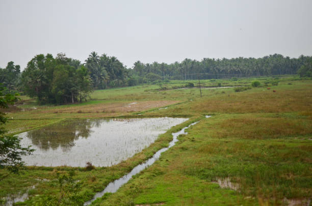 Landscape panorama with hills and plantations seen from mango plantation in landscape of Sukothai province